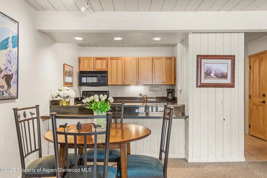 6 of 14 - 131 E Durant Avenue 104, Aspen, CO