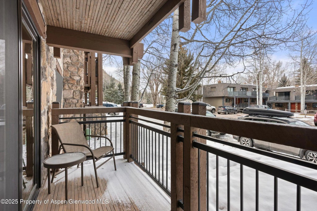 7 of 14 - 131 E Durant Avenue 104, Aspen, CO