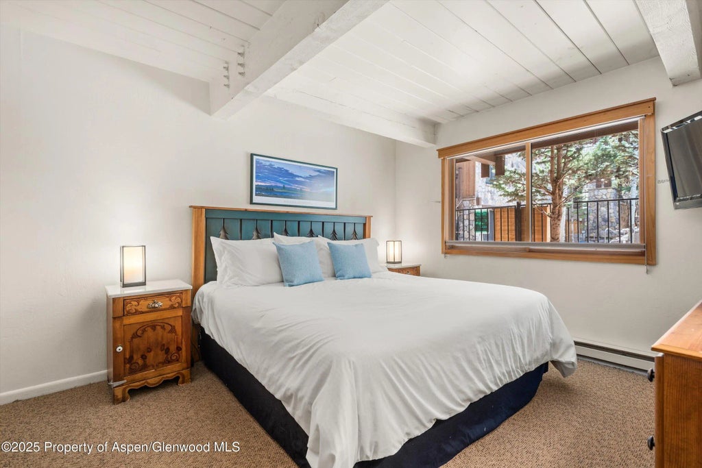 8 of 14 - 131 E Durant Avenue 104, Aspen, CO