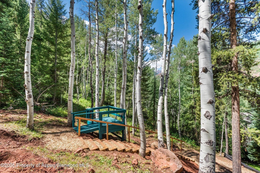 11 of 28 - Tbd Exhibition Lane Lot 13, Aspen, CO