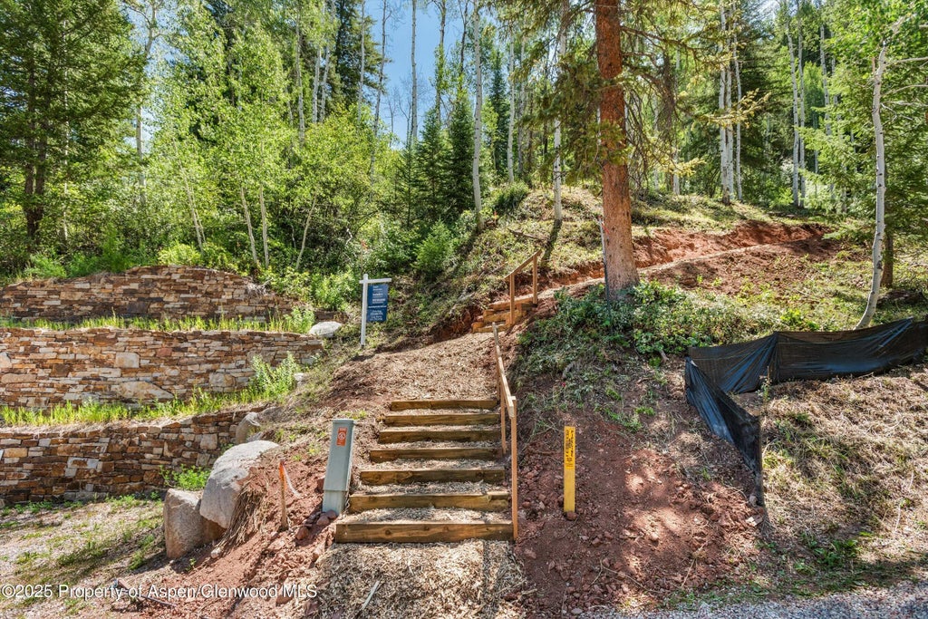 13 of 28 - Tbd Exhibition Lane Lot 13, Aspen, CO