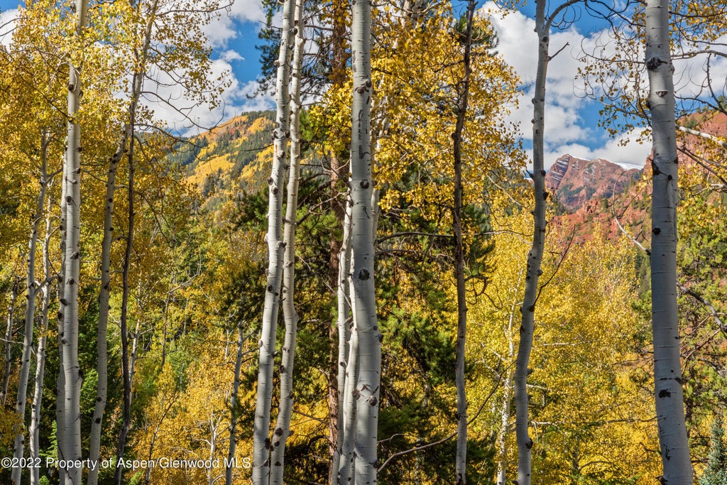 24 of 28 - Tbd Exhibition Lane Lot 13, Aspen, CO