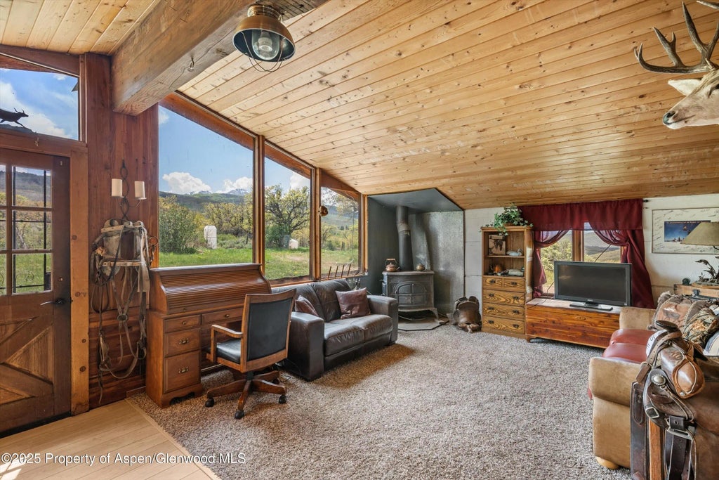 17 of 49 - 3714 Bear Ridge Road, Basalt, CO