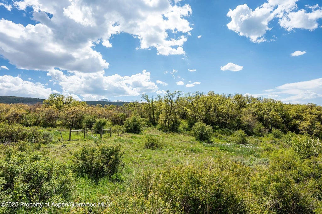 44 of 49 - 3714 Bear Ridge Road, Basalt, CO