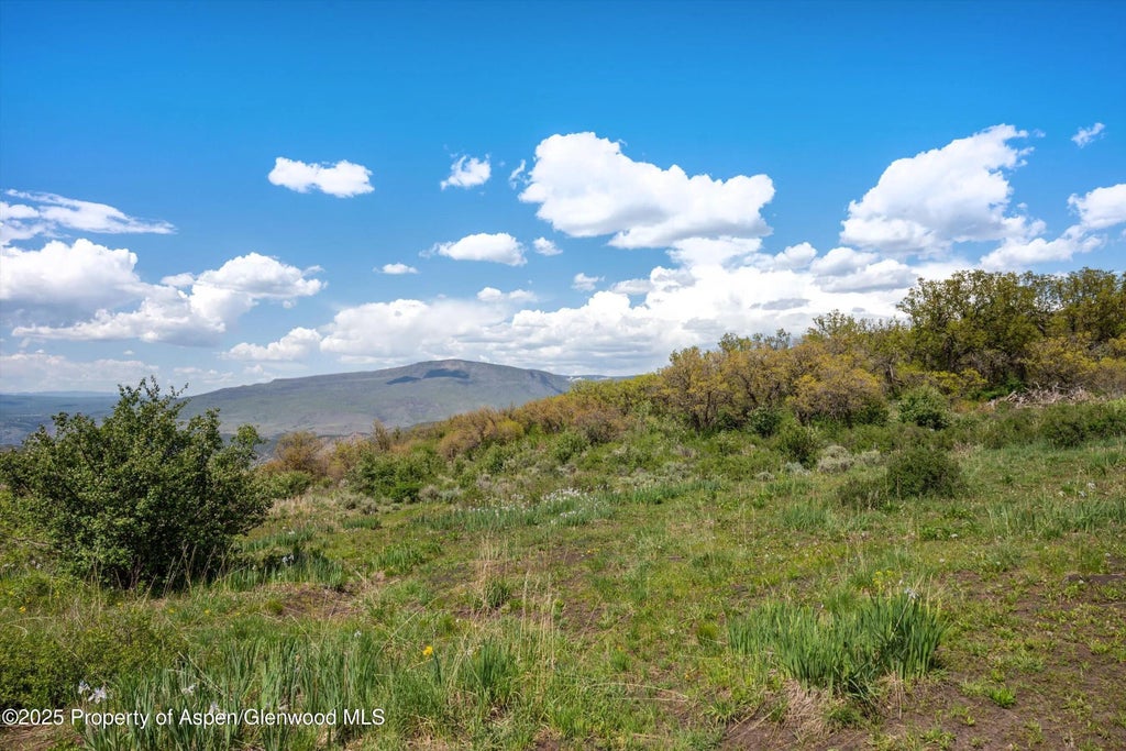45 of 49 - 3714 Bear Ridge Road, Basalt, CO