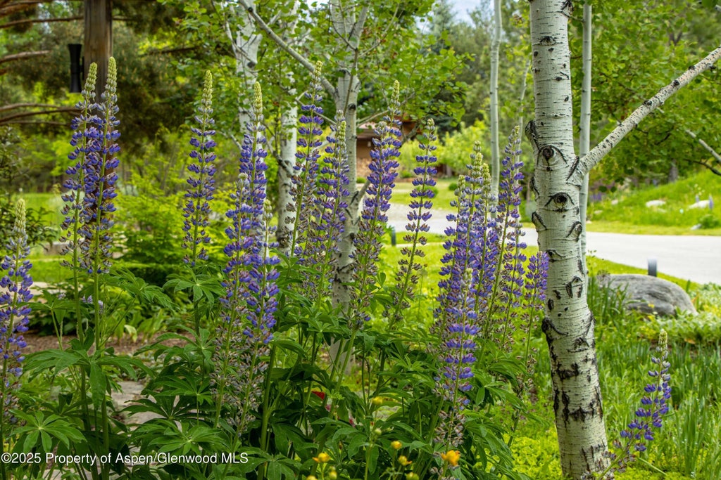 72 of 72 - 2701 County Rd 100, Carbondale, CO