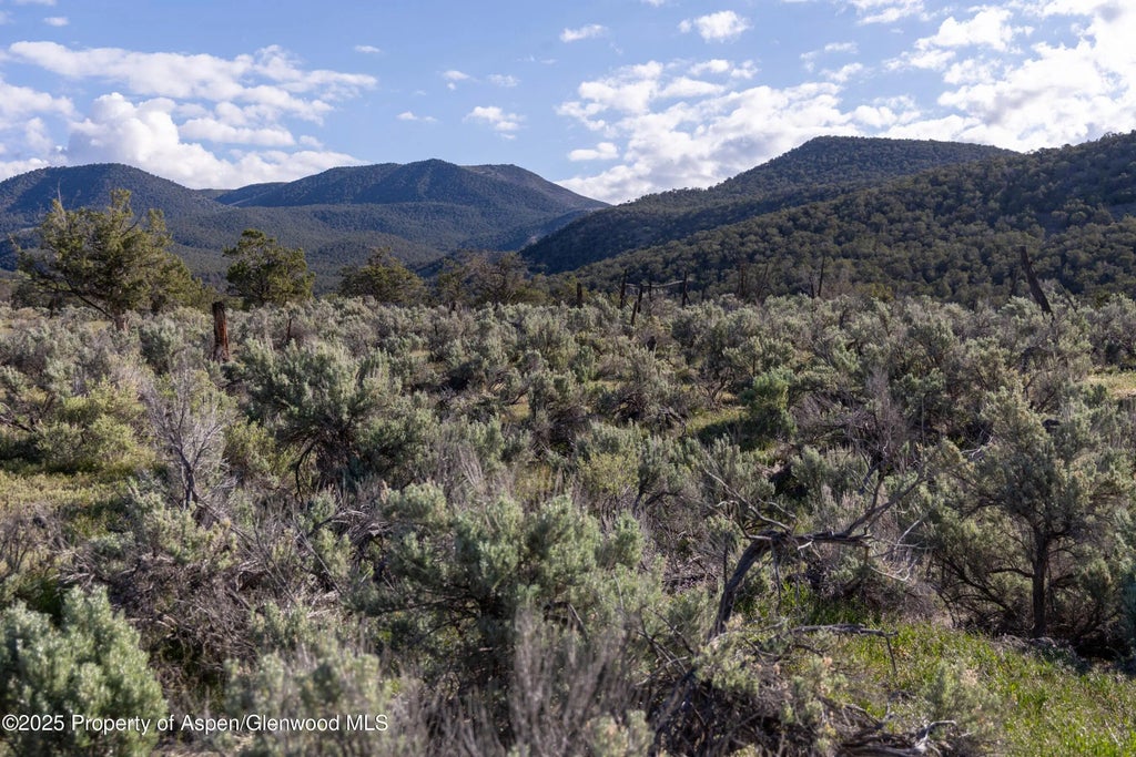 10 of 22 - Tbd Mystic Mesa Road, Hotchkiss, CO