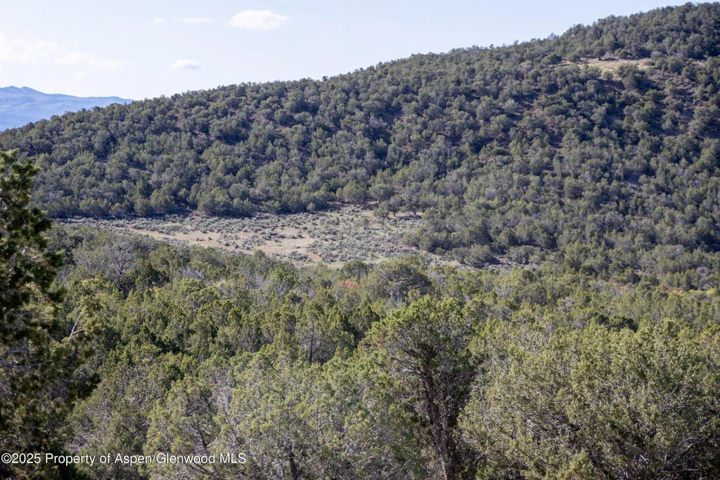 16 of 22 - Tbd Mystic Mesa Road, Hotchkiss, CO