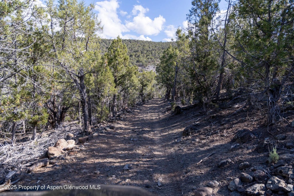 18 of 22 - Tbd Mystic Mesa Road, Hotchkiss, CO