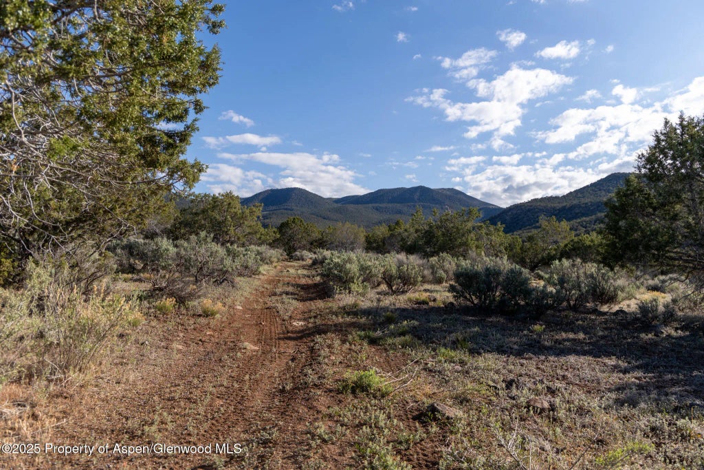 18 of 22 - Tbd Powell Mesa Road, Hotchkiss, CO