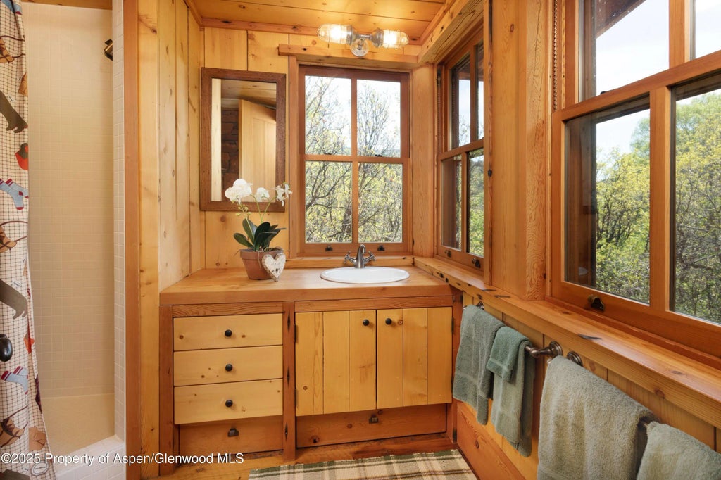 33 of 52 - 5548 Frying Pan Road, Basalt, CO