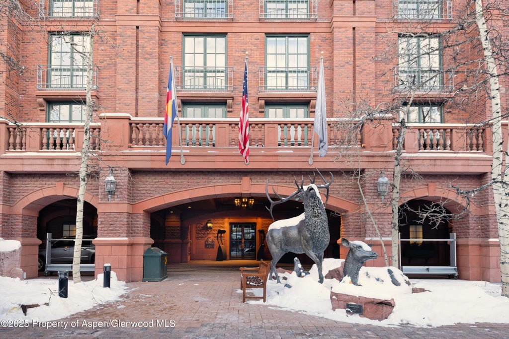 19 of 19 - 315 E Dean Street B60-51,52,24,47, Aspen, CO