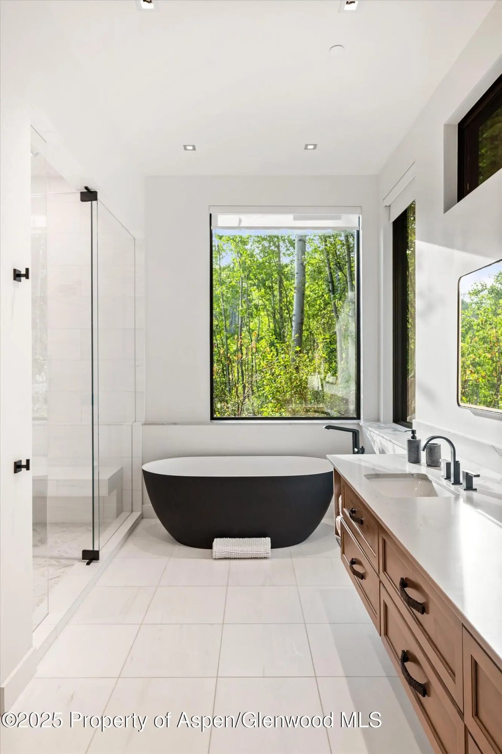 42 of 67 - 1234 Wood Road, Snowmass Village, CO