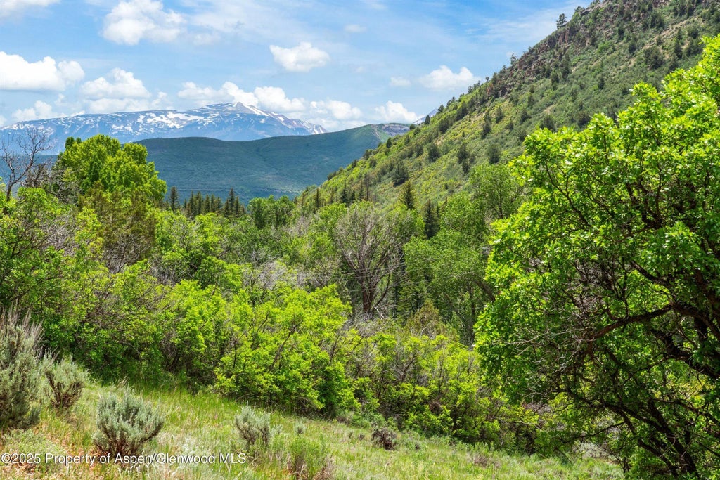 2 of 53 - 354 Snowmass Creek Road, Snowmass, CO