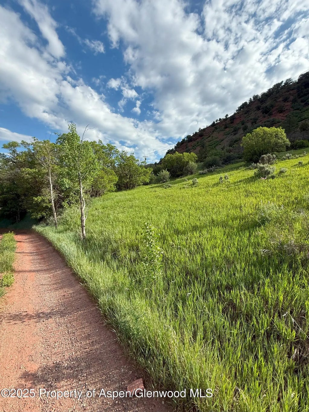31 of 53 - 354 Snowmass Creek Road, Snowmass, CO