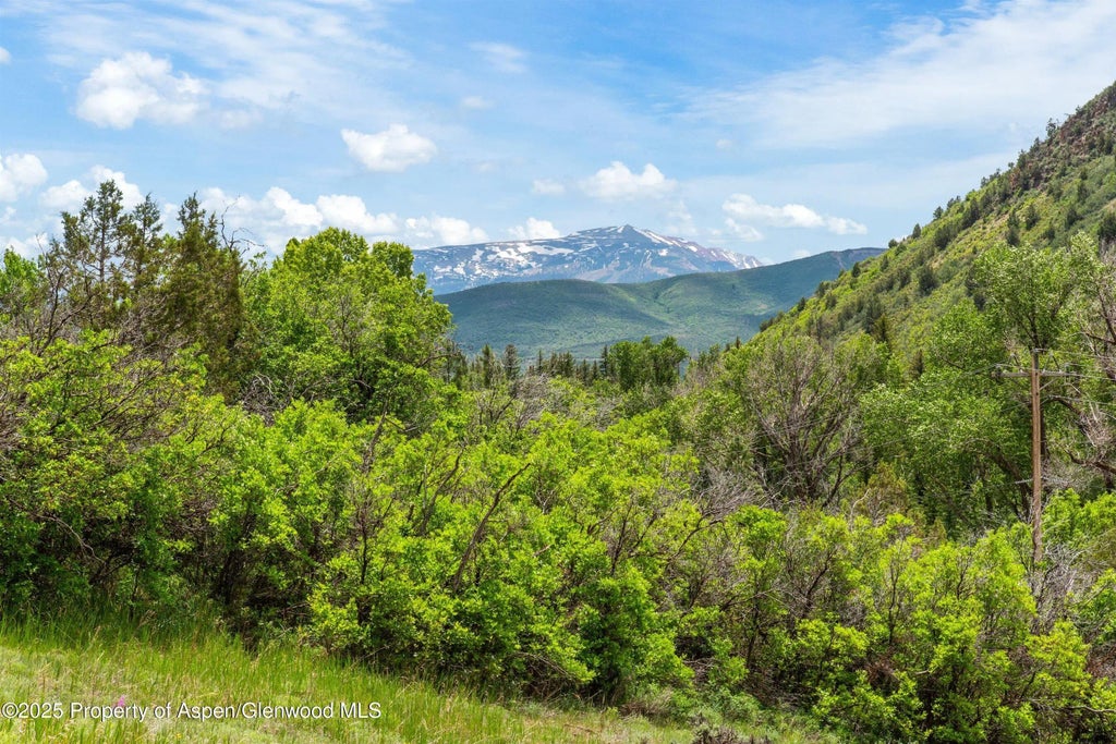 6 of 53 - 354 Snowmass Creek Road, Snowmass, CO