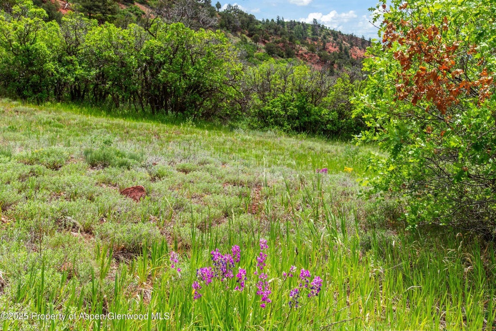 7 of 53 - 354 Snowmass Creek Road, Snowmass, CO