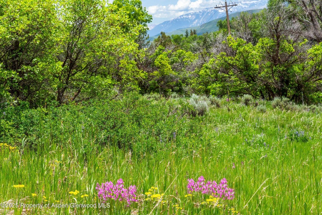 8 of 53 - 354 Snowmass Creek Road, Snowmass, CO