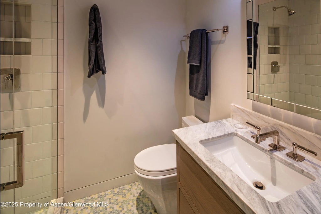 28 of 37 - 614 W North Street, Aspen, CO