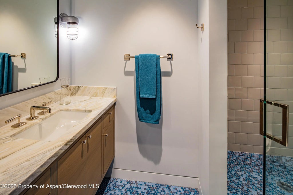 29 of 36 - 614 W North Street, Aspen, CO