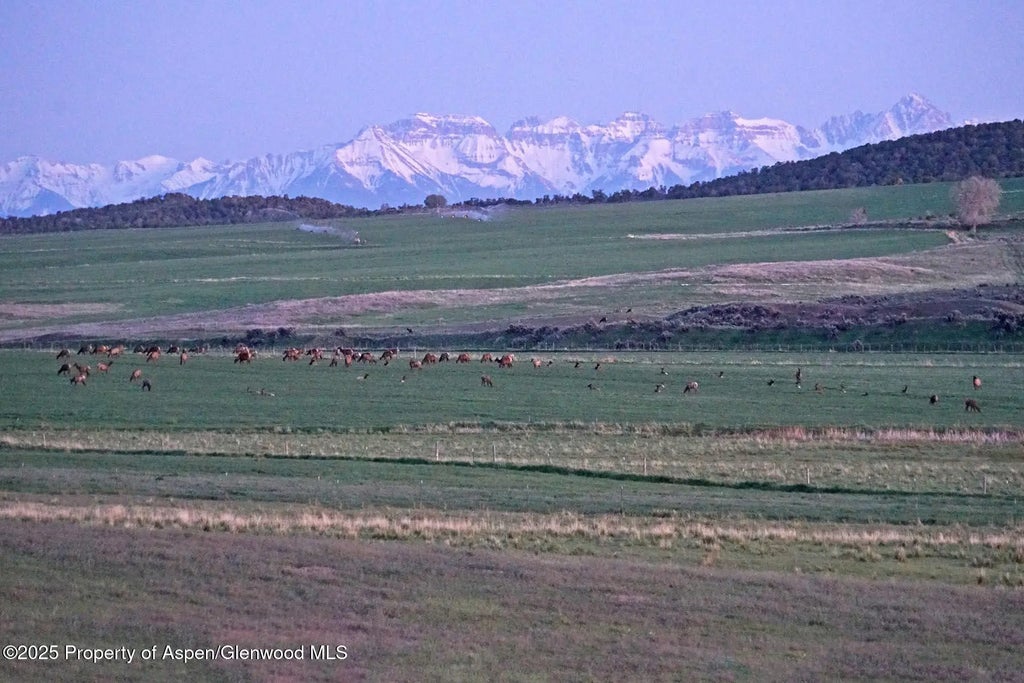 14 of 42 - 10676 Bostwick Road, Montrose, CO