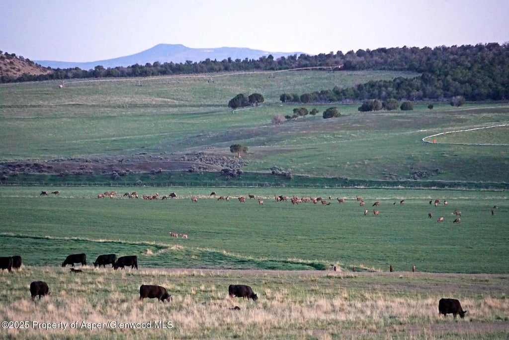 17 of 42 - 10676 Bostwick Road, Montrose, CO