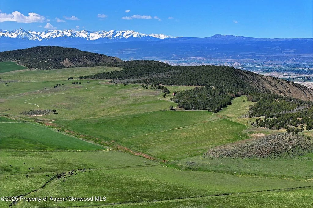 22 of 42 - 10676 Bostwick Road, Montrose, CO