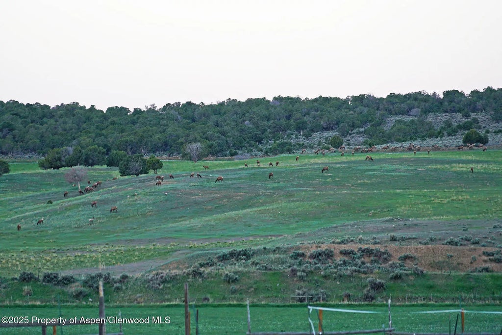 25 of 42 - 10676 Bostwick Road, Montrose, CO