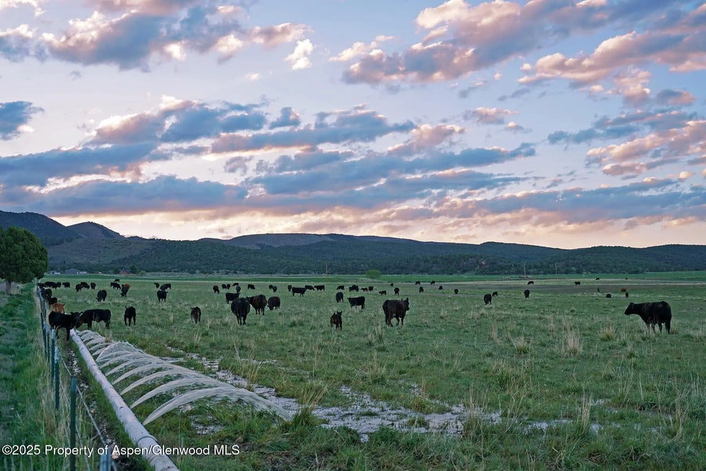 29 of 42 - 10676 Bostwick Road, Montrose, CO