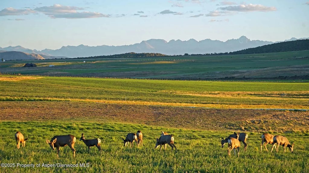 30 of 42 - 10676 Bostwick Road, Montrose, CO