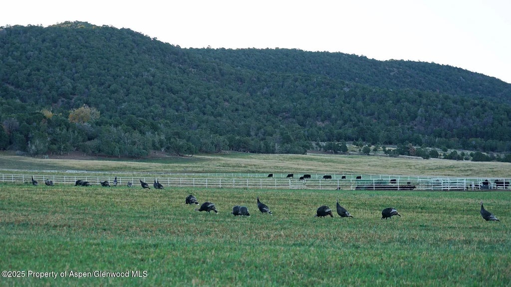 32 of 42 - 10676 Bostwick Road, Montrose, CO