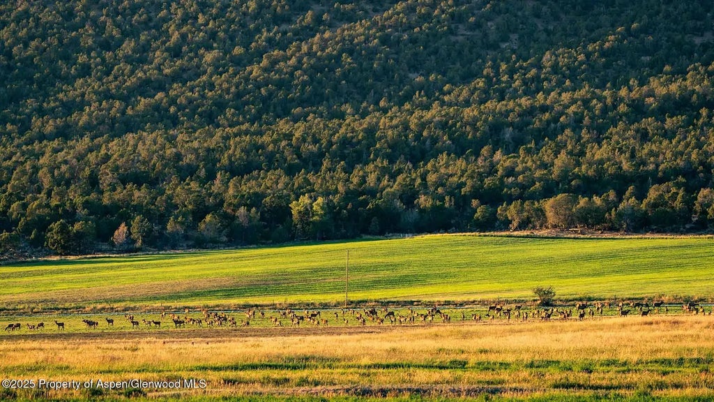33 of 42 - 10676 Bostwick Road, Montrose, CO