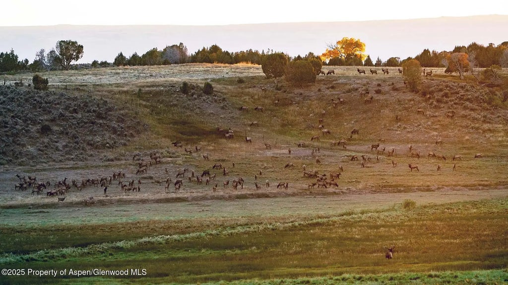37 of 42 - 10676 Bostwick Road, Montrose, CO