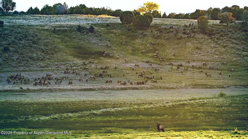 38 of 42 - 10676 Bostwick Road, Montrose, CO