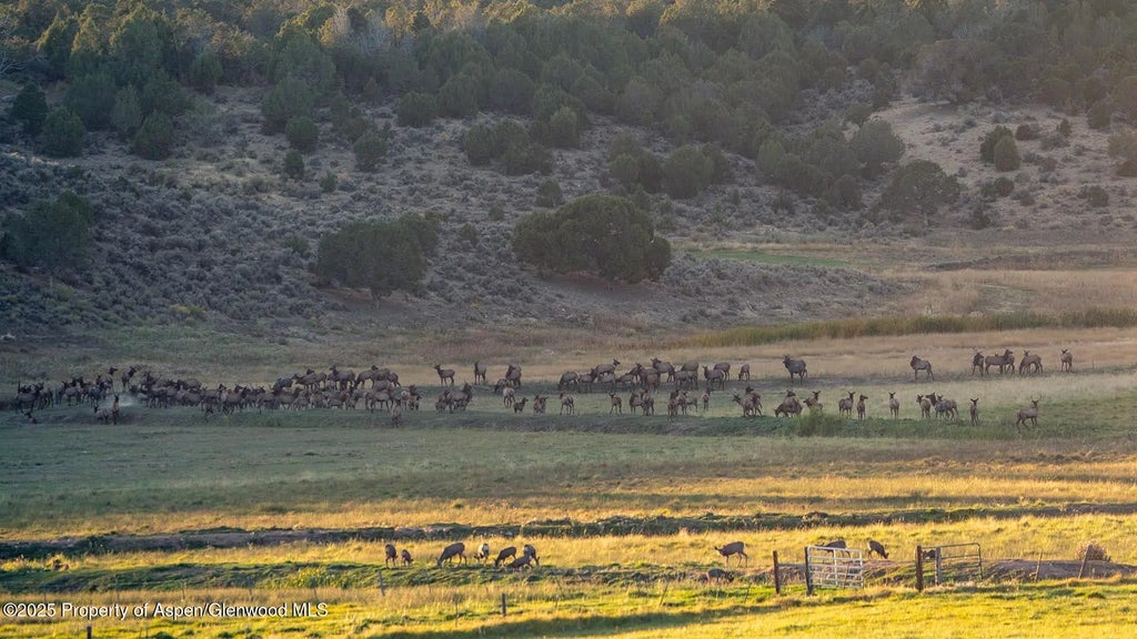 40 of 42 - 10676 Bostwick Road, Montrose, CO