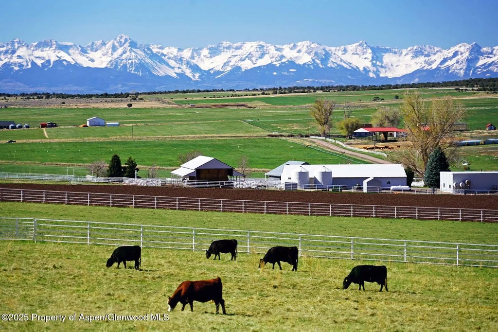 5 of 42 - 10676 Bostwick Road, Montrose, CO