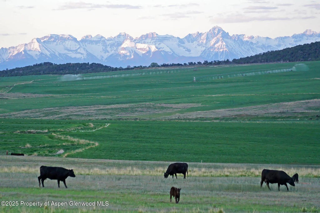 8 of 42 - 10676 Bostwick Road, Montrose, CO
