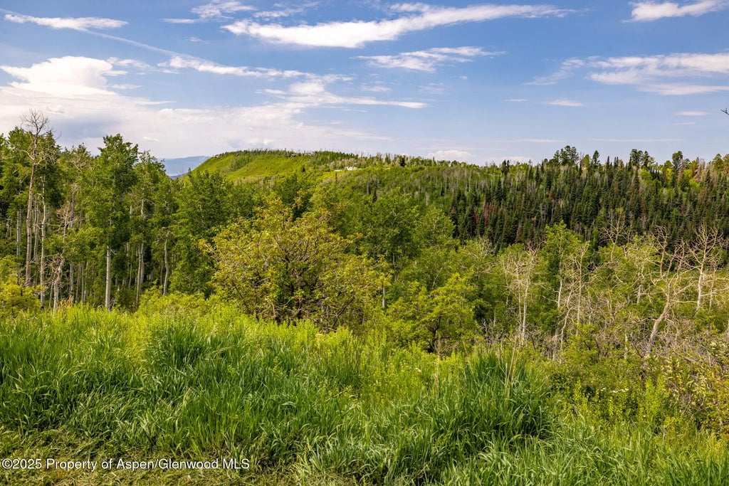 40 of 42 - 15805 County Road 245, New Castle, CO
