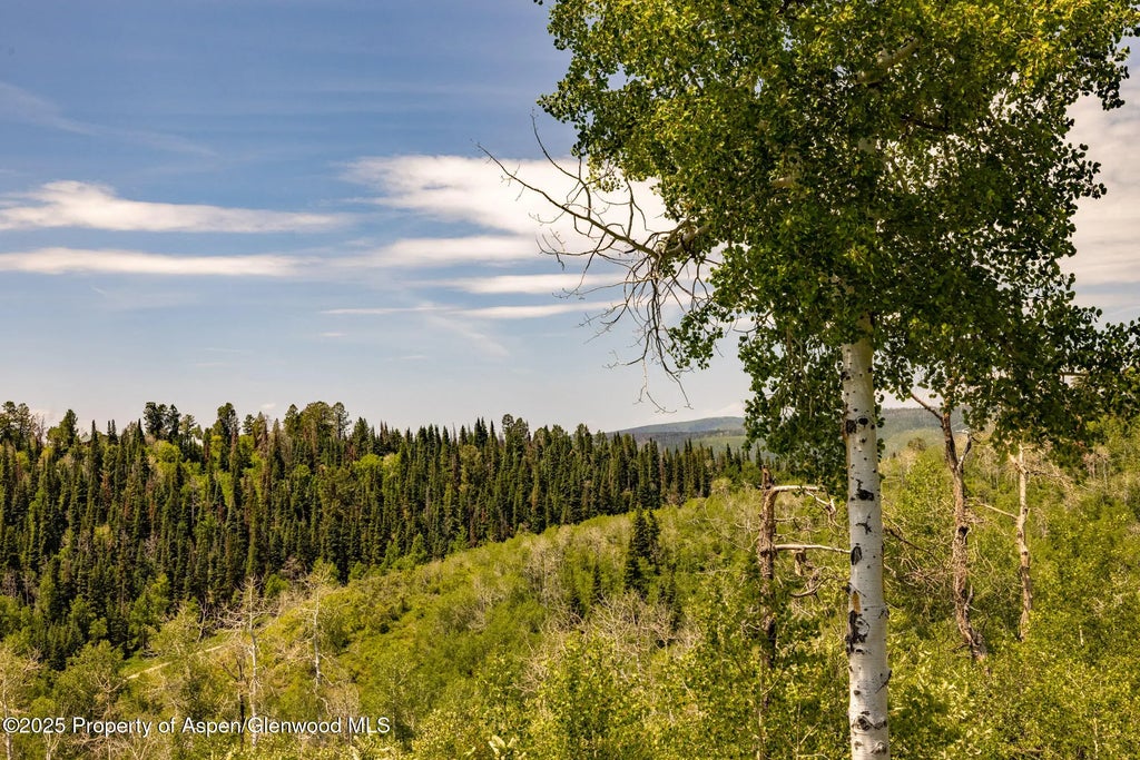 41 of 42 - 15805 County Road 245, New Castle, CO