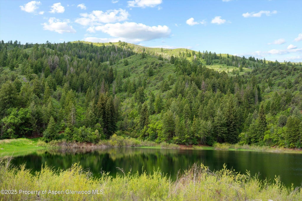15 of 29 - 10715 County Road 245, New Castle, CO