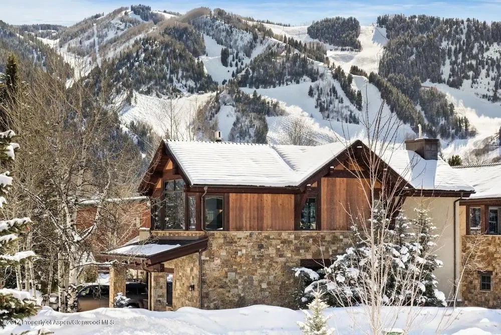 18 of 22 - 566 Race Street, Aspen, CO