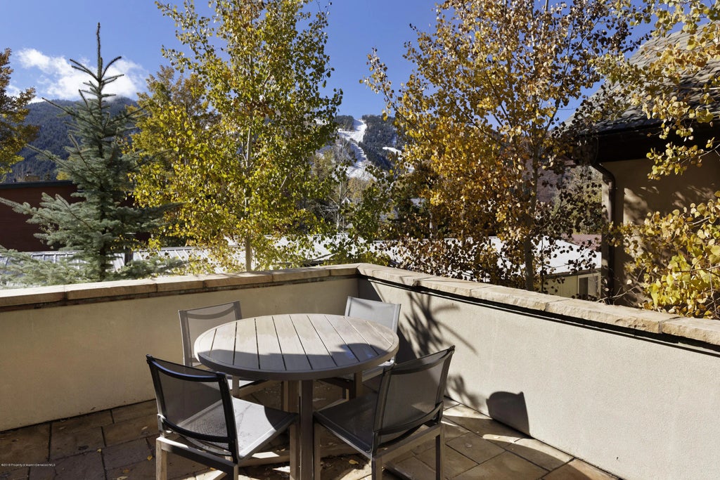 21 of 22 - 566 Race Street, Aspen, CO