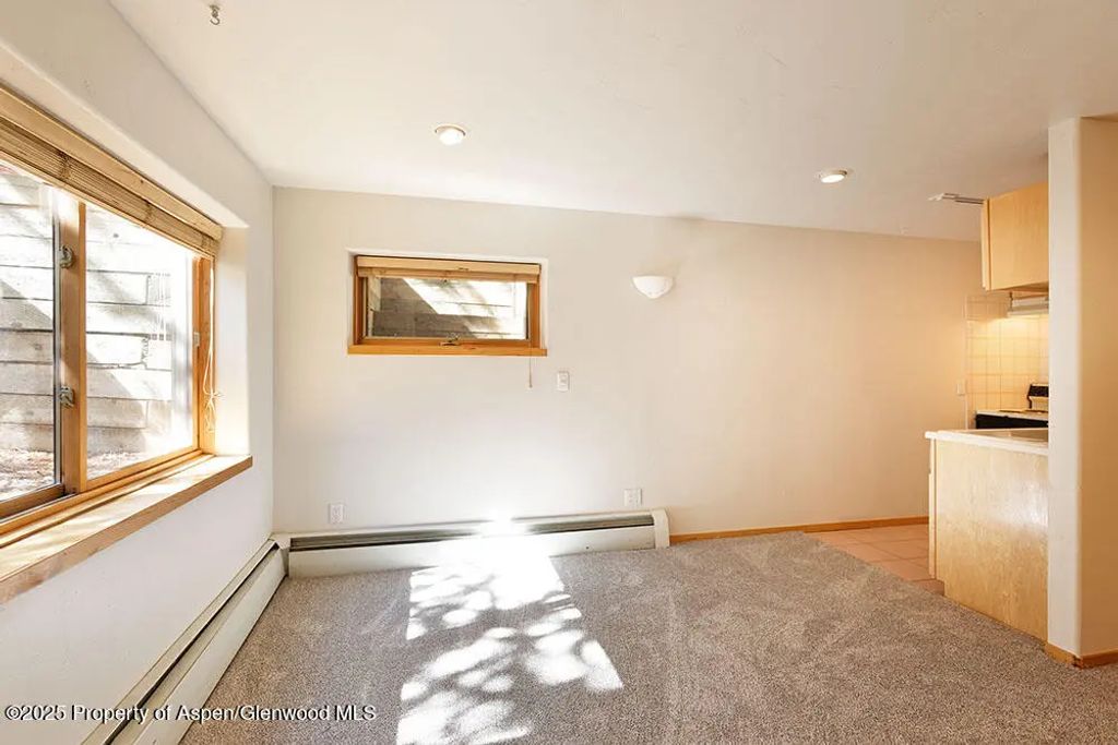 12 of 28 - 311 Midland Avenue, Aspen, CO