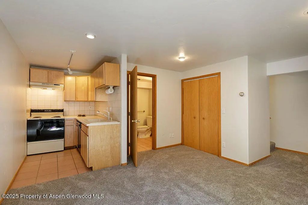 14 of 28 - 311 Midland Avenue, Aspen, CO