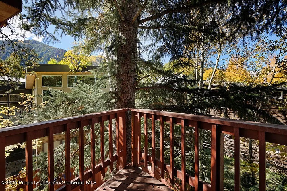 18 of 27 - 311 Midland Avenue, Aspen, CO