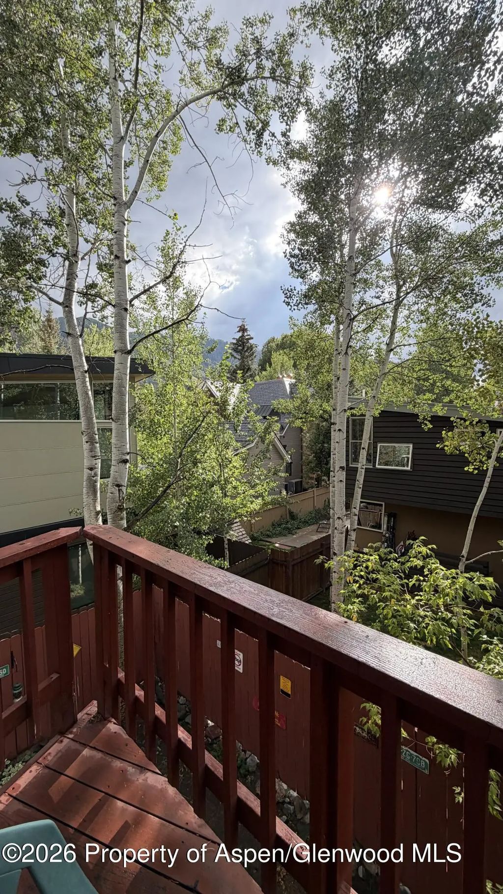 6 of 28 - 311 Midland Avenue, Aspen, CO