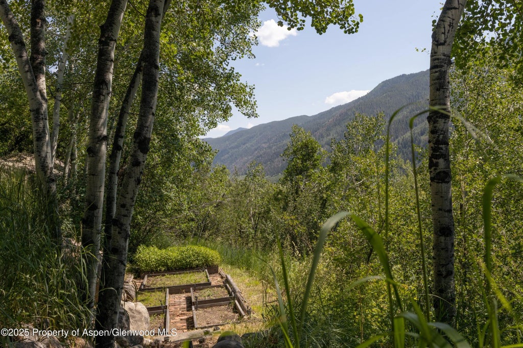 28 of 32 - 602 Mountain Laurel Drive, Aspen, CO