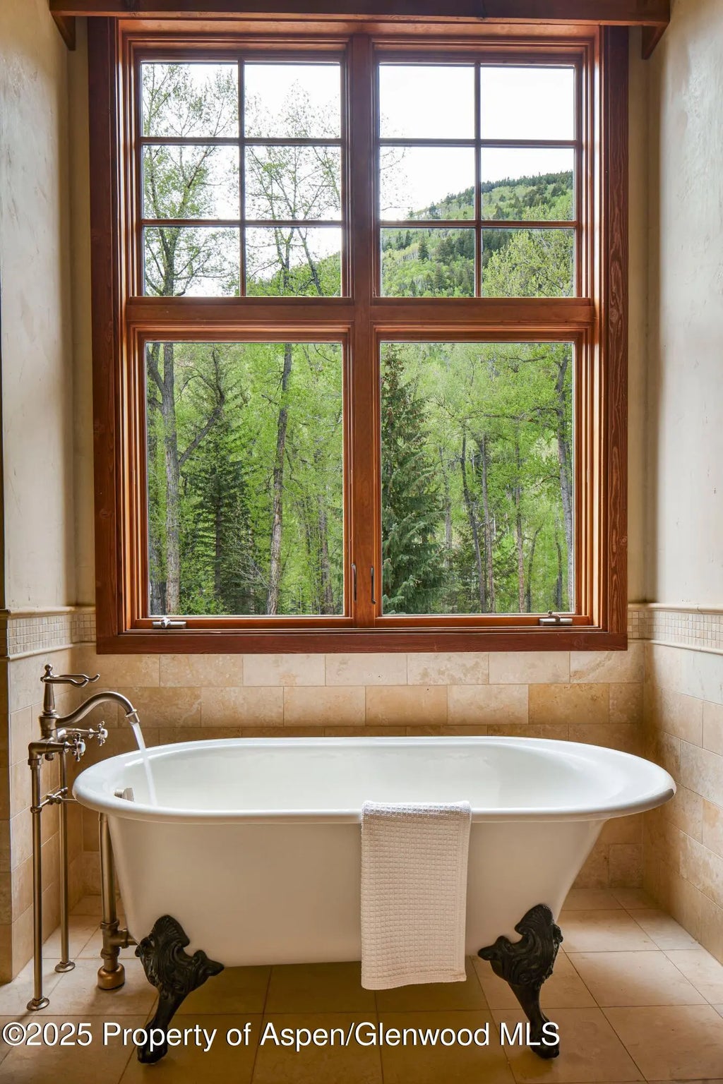 17 of 20 - 143 N Conundrum Creek Road, Aspen, CO