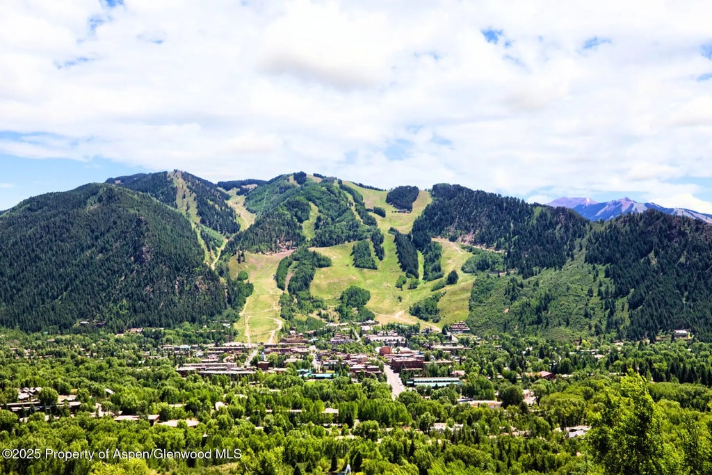 6 of 7 - 433 Gillespie Street, Aspen, CO