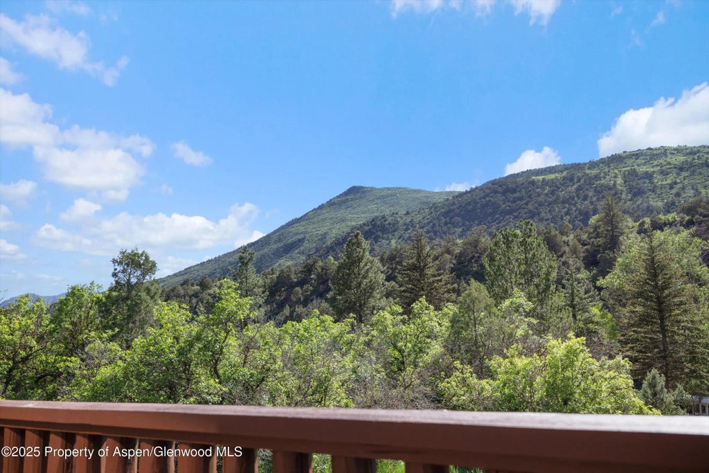 44 of 45 - 116 S Bill Creek Road, Carbondale, CO